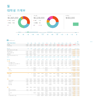 월간 대학생 가계부